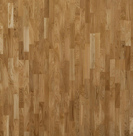 Focus Floor Дуб Глосси без отбора