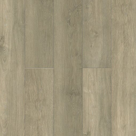 NatisSton Leger Isen 5001-05