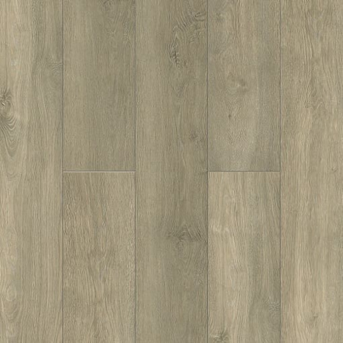 NatisSton Leger Isen 5001-05