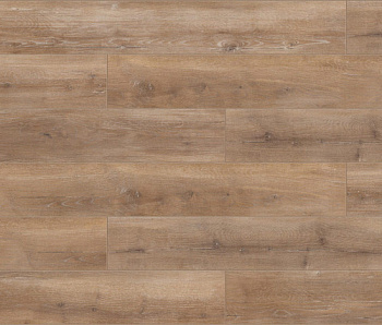 Palitra Ash Gothenburg