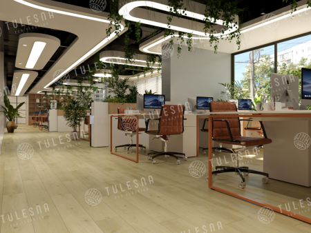 Tulesna Ottimo Premium Modesto 1004-301