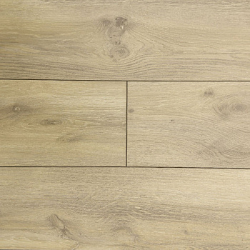 Homflor Distingo Odyssey 705
