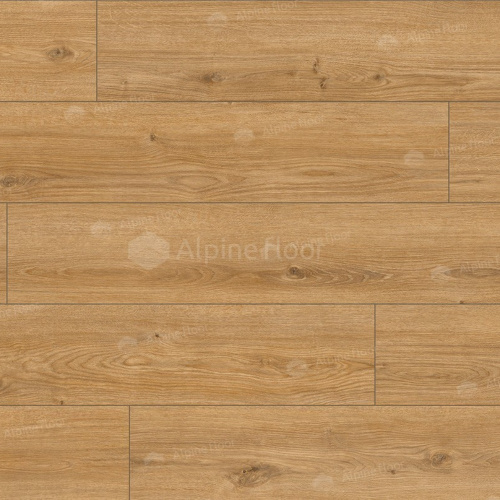 Arteo 8 M WR Дуб Хамра 62752