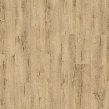 Moduleo Mountain Oak 56275
