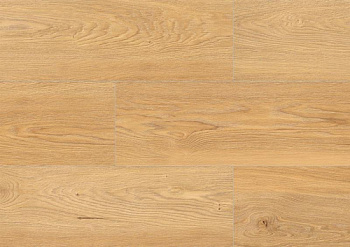 Micodur Gold Oak