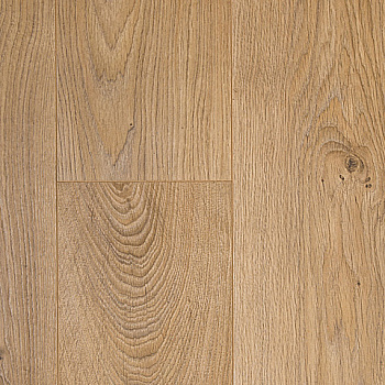 Thys Berlin Oak 647869
