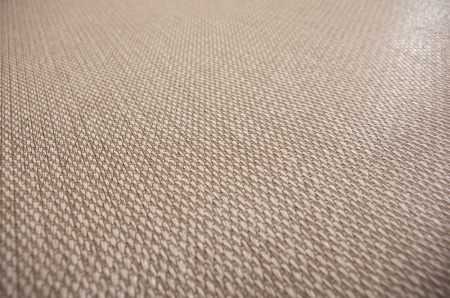 Bolon Sisal Plain Beige