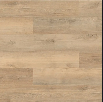 Salag Wood Mastery YV2041