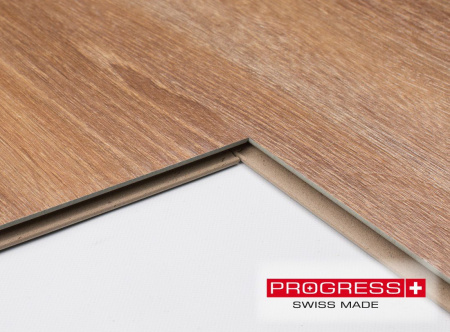 Progress 31