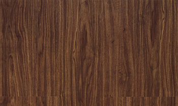 Progress 241 Acacia