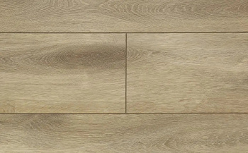 Rigid Firmfit Calisto Фелис EW-2362
