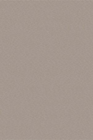 Bolon Texture Beige