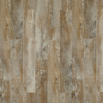 Moduleo Дуб Country Oak 24277
