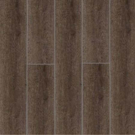 Timber Soulby