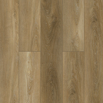 NatisSton Leger Gaula 5001-11