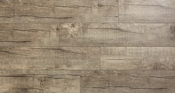 Royce Jersey Дуб Тринити J405
