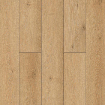 NatisSton Leger Begna 5001-10