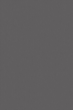 Bolon Sisal Plain Granite