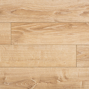 Homflor Strong Canaries Oak 621
