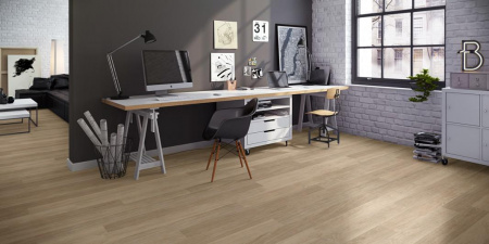 Quick Step Дуб белый лакированный U915