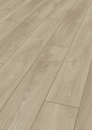 Eurowood Дуб Луч света
