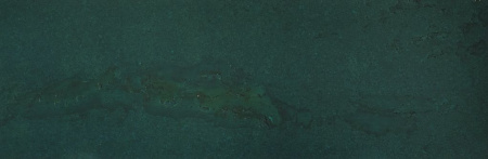 Fomentarino Oceano Ultramarino