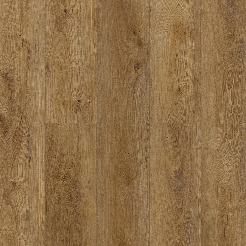 NatisSton Leger Host 5001-02