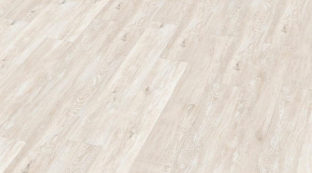 Falquon Aragon Oak D4181