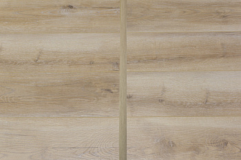 Palitra Ash Bergen