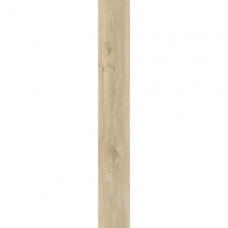 Moduleo Sierra Oak 58268