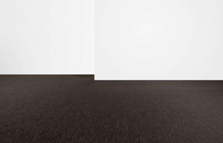 Bolon Tilia