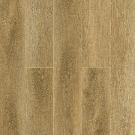 Tulesna Ottimo Costante 1004-05