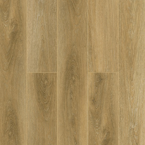 Tulesna Ottimo Costante 1004-05