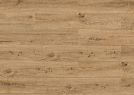 Classen Pro Nature Caldas 62543