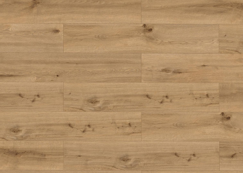 Classen Pro Nature Caldas 62543