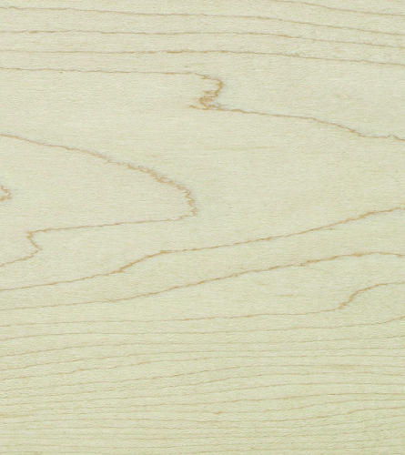 Panaget Клен Канадский без отбора