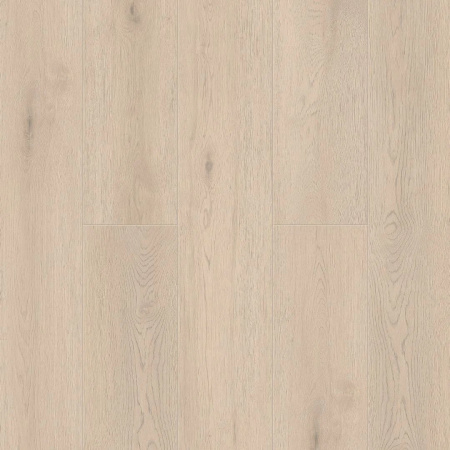 Norland Alante 1001-5