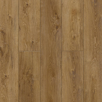 NatisSton Leger Host 5001-02