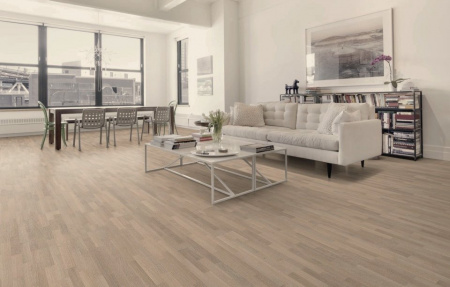 Focus Floor Дуб Storm White Matt без отбора