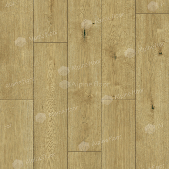 Classen Pro Nature Nore 61865