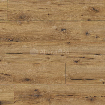 Arteo 8 M WR Дуб Эрг 62750