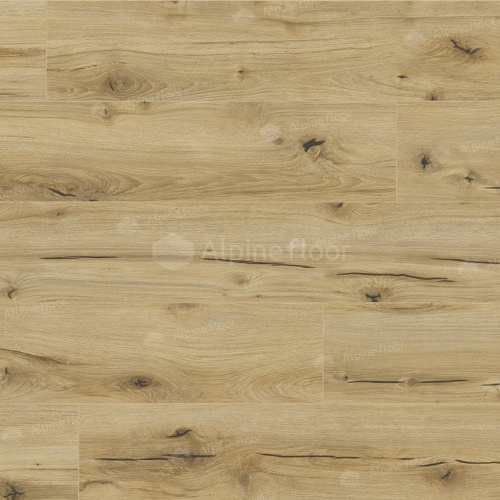 Arteo 8 M WR Дуб Анаргоса 62747