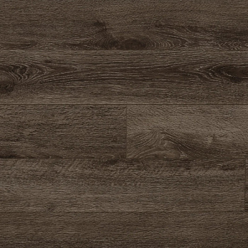 Atrium Elite Дуб Броудпик B 204