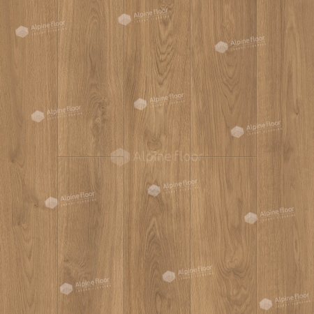 Classen Pro Nature Oak Sajo 64637