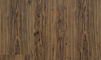 Progress 255 Walnut