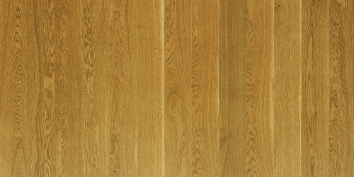 Focus Floor Дуб Shamal без отбора