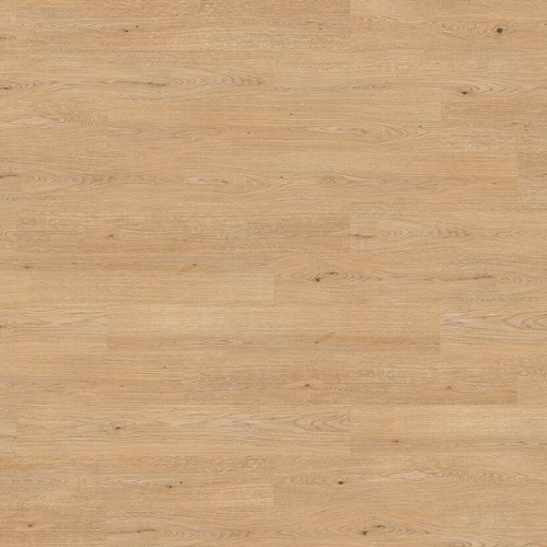 Amorim Wise Natural Light Oak