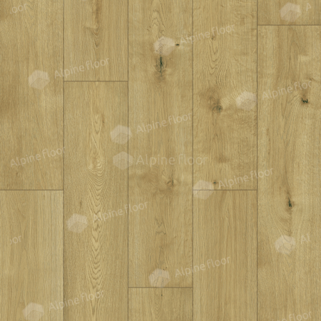 Classen Pro Nature Nore 61865