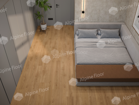 Classen Pro Nature Oak Sajo 64637