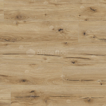 Arteo 8 M WR Дуб Гибсон 62751